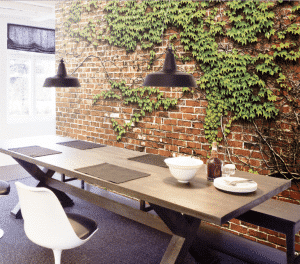 Ivy-A - Image 2