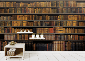 Library-A - Image 2
